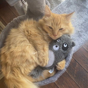 Meet your Posher, Jayne